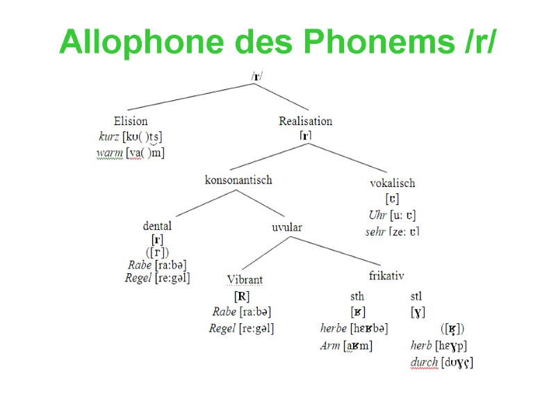 Allophone des Phonems /r/